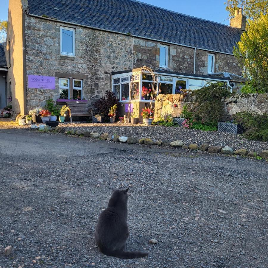 Morris Guest House St Andrews Extérieur photo