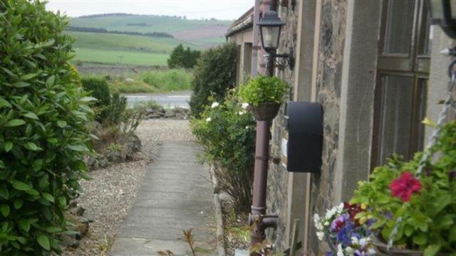 Morris Guest House St Andrews Extérieur photo