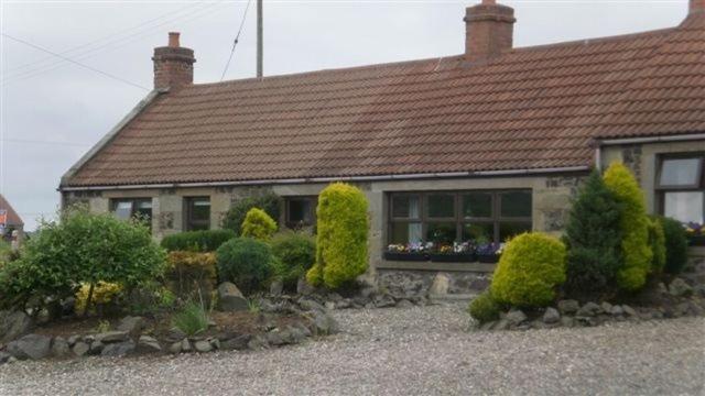 Morris Guest House St Andrews Extérieur photo