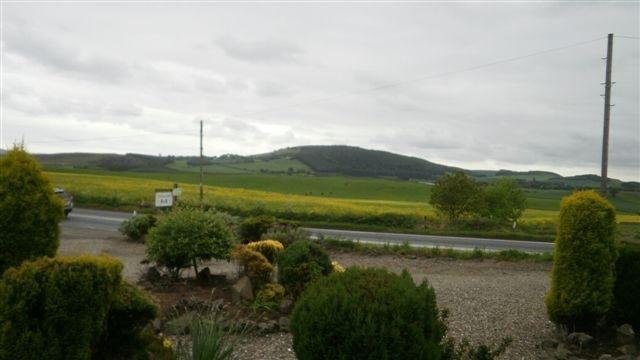 Morris Guest House St Andrews Chambre photo